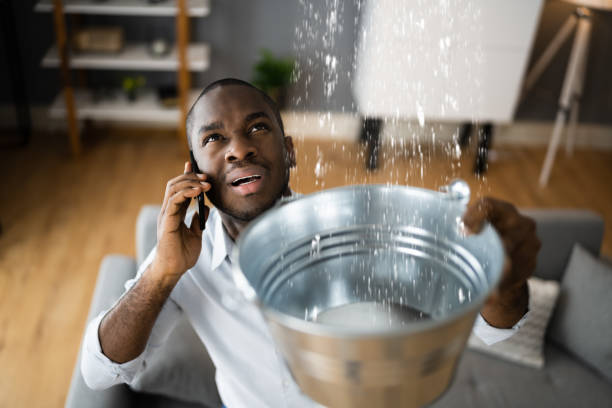 Best Local water damage restoration  in Carbondale, IL