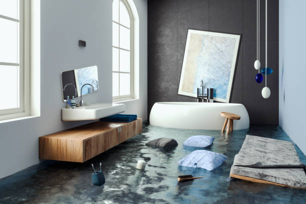 Best 24/7 water damage repair  in Carbondale, IL