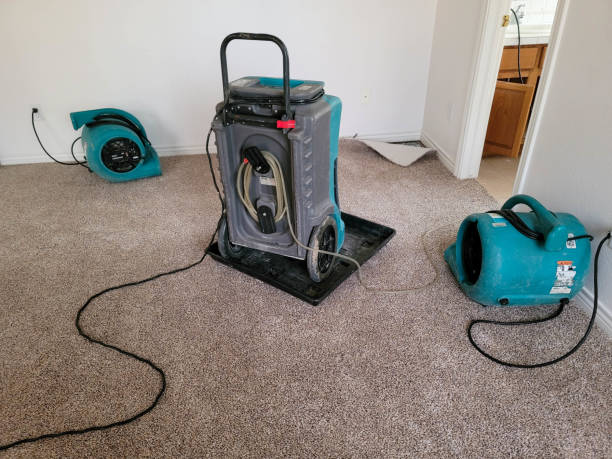Best Sewage cleanup and water damage restoration  in Carbondale, IL