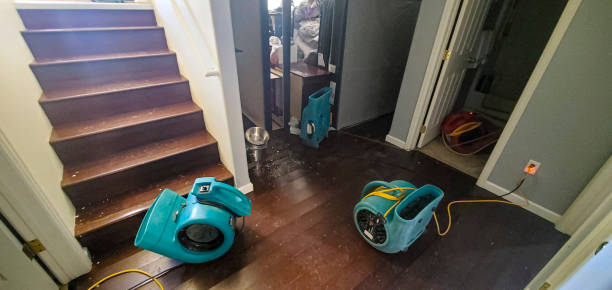24/7 water damage repair in Carbondale, IL