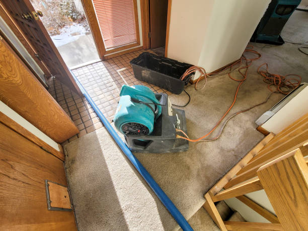 Best Basement water damage restoration  in Carbondale, IL