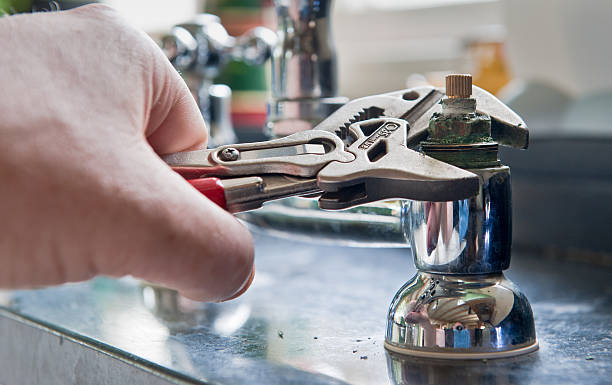 Best Flooded house restoration  in Carbondale, IL