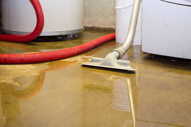 Carbondale, IL Water damage restoration Company