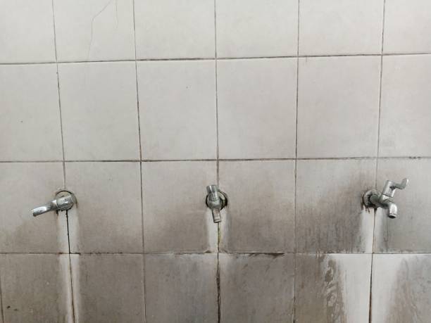 Best Local water damage restoration  in Carbondale, IL