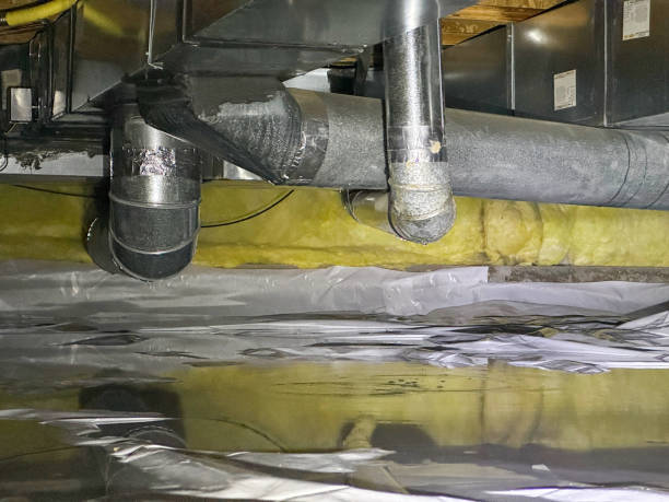 Best Carpet water damage restoration  in Carbondale, IL