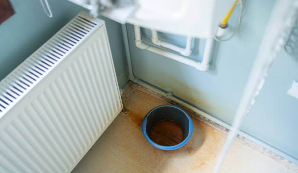 Trusted Carbondale, IL Water damage restoration Experts