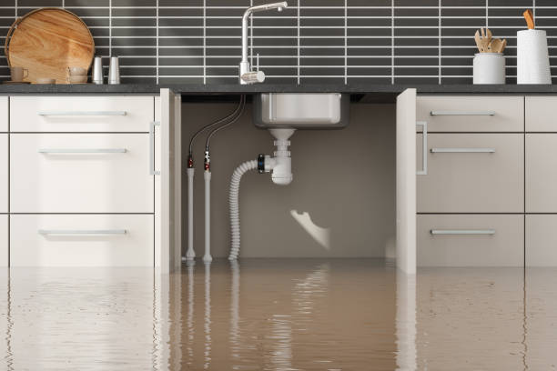 Best Flood damage cleanup  in Carbondale, IL