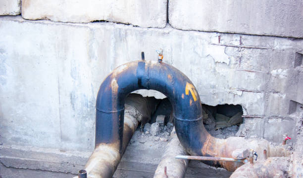 Best Ceiling water damage repair  in Carbondale, IL