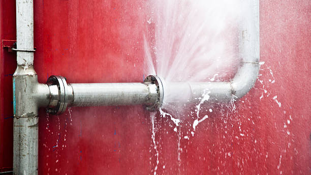 Best Flooded house restoration  in Carbondale, IL