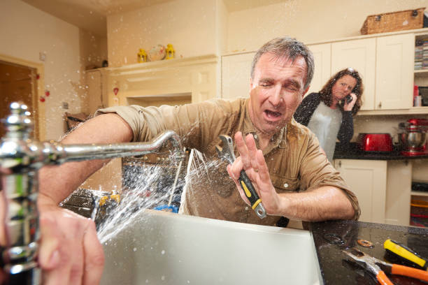 Best Sewage cleanup and water damage restoration  in Carbondale, IL